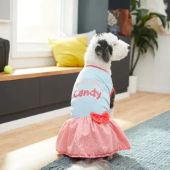 Frisco Sweet Like Candy Dog & Cat Dress -FRISCO Sales 248666 PT7. SY630 V1614376378