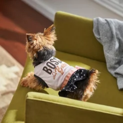 Frisco Boss Babe Dog & Cat Dress 11 Frisco Boss Babe Dog & Cat Dress -FRISCO Sales 248673 PT7. SY630 V1613586417