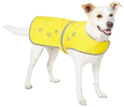 Frisco Reflective Dog Safety Vest