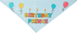Frisco Birthday Prince Dog & Cat Bandana -FRISCO Sales 248694 PT2. SY630 V1633071096
