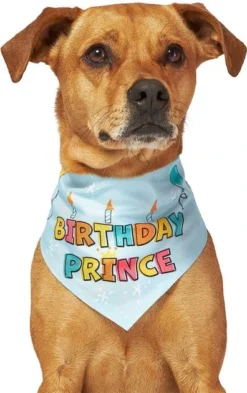 Frisco Birthday Prince Dog & Cat Bandana -FRISCO Sales 248694 PT3. SY630 V1633065977