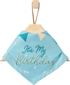 Frisco It's My Birthday Dog & Cat Bandana, Blue