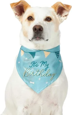 Frisco It's My Birthday Dog & Cat Bandana, Blue 10 Frisco It's My Birthday Dog & Cat Bandana, Blue -FRISCO Sales 248696 PT2. SY630 V1633069886
