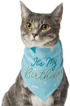 Frisco It's My Birthday Dog & Cat Bandana, Blue 11 Frisco It's My Birthday Dog & Cat Bandana, Blue -FRISCO Sales 248696 PT3. SY630 V1633061530