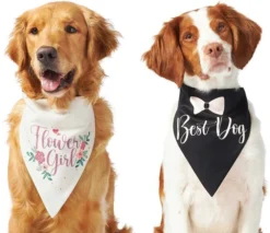 Frisco Wedding Reversible Dog & Cat Bandana -FRISCO Sales 248712 PT2. SY630 V1632429387