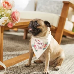 Frisco Wedding Reversible Dog & Cat Bandana -FRISCO Sales 248712 PT6. SY630 V1632430655