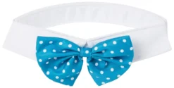 Frisco Polka Dot Dog & Cat Bow Tie, Teal -FRISCO Sales 248715 PT3. SY630 V1613763091