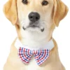 Frisco Plaid Dog & Cat Bow Tie, Red & Blue -FRISCO Sales 248722 MAIN. SY630 V1613766402