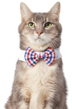 Frisco Plaid Dog & Cat Bow Tie, Red & Blue -FRISCO Sales 248722 PT2. SY630 V1614031619