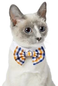 Frisco Plaid Dog & Cat Bow Tie, Orange & Blue -FRISCO Sales 248723 PT2. SY630 V1613767680