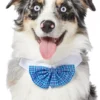 Frisco Plaid Dog & Cat Bow Tie, Blue -FRISCO Sales 248727 MAIN. SY630 V1614364290
