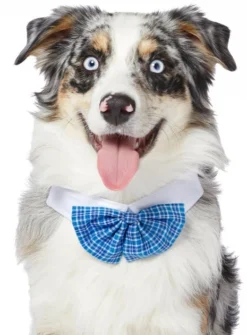 Frisco Plaid Dog & Cat Bow Tie, Blue
