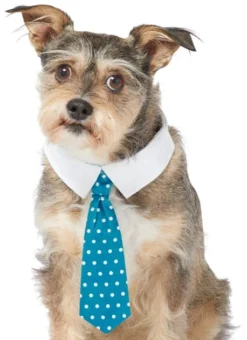 Frisco Polka Dot Dog & Cat Neck Tie