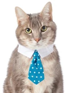 Frisco Polka Dot Dog & Cat Neck Tie -FRISCO Sales 248729 PT2. SY630 V1614368548