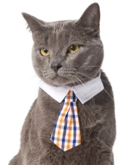 Frisco Plaid Dog & Cat Neck Tie, Orange & Blue 9 Frisco Plaid Dog & Cat Neck Tie, Orange & Blue -FRISCO Sales 248737 PT2. SY630 V1614365487