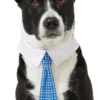 Frisco Plaid Dog & Cat Neck Tie, Blue Plaid 1 Frisco Plaid Dog & Cat Neck Tie, Blue Plaid -FRISCO Sales 248738 MAIN. SY630 V1614365493