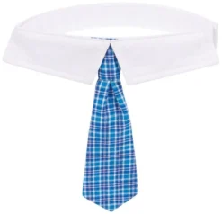 Frisco Plaid Dog & Cat Neck Tie, Blue Plaid -FRISCO Sales 248738 PT3. SY630 V1614366236