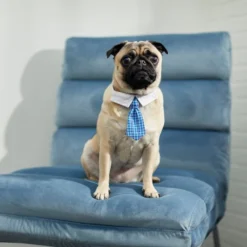 Frisco Plaid Dog & Cat Neck Tie, Blue Plaid -FRISCO Sales 248738 PT7. SY630 V1614366111