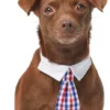 Frisco Plaid Dog & Cat Neck Tie, Red & Blue -FRISCO Sales 248739 MAIN. SY630 V1614365502