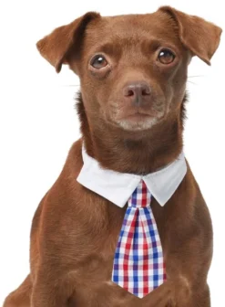 Frisco Plaid Dog & Cat Neck Tie, Red & Blue