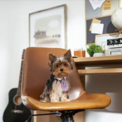 Frisco Plaid Dog & Cat Neck Tie, Red & Blue 9 Frisco Plaid Dog & Cat Neck Tie, Red & Blue -FRISCO Sales 248739 PT7. SY630 V1614366128