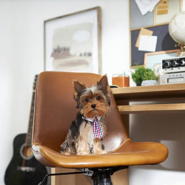 Frisco Plaid Dog & Cat Neck Tie, Red & Blue 6 Frisco Plaid Dog & Cat Neck Tie, Red & Blue - Image 4