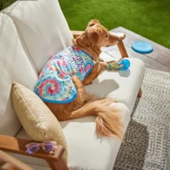 Frisco Pawsitive Vibes Tiedye Print Dog & Cat T-Shirt 13 Frisco Pawsitive Vibes Tiedye Print Dog & Cat T-Shirt -FRISCO Sales 248782 PT5. SY630 V1637655385