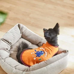 Frisco Wild Thing Dog & Cat T-Shirt -FRISCO Sales 248799 PT4. SY630 V1624602762