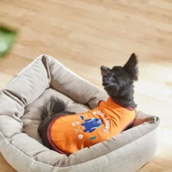 Frisco Wild Thing Dog & Cat T-Shirt -FRISCO Sales 248799 PT7. SY630 V1613670119