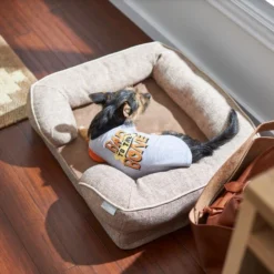 Frisco Bad to the Bone Dog & Cat T-Shirt -FRISCO Sales 248803 PT7. SY630 V1644449214