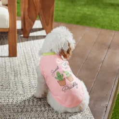 Frisco Sweet But Prickly Dog & Cat T-Shirt -FRISCO Sales 248814 PT4. SY630 V1624599749