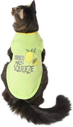 Frisco Mama's Main Squeeze Dog & Cat T-Shirt -FRISCO Sales 248852 PT2. SY630 V1644959830