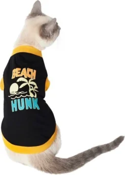 Frisco Beach Hunk Dog & Cat T-Shirt -FRISCO Sales 248873 PT2. SY630 V1624618665