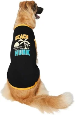 Frisco Beach Hunk Dog & Cat T-Shirt -FRISCO Sales 248873 PT3. SY630 V1624606656