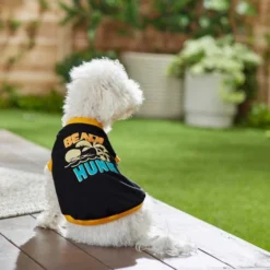 Frisco Beach Hunk Dog & Cat T-Shirt -FRISCO Sales 248873 PT5. SY630 V1624600369