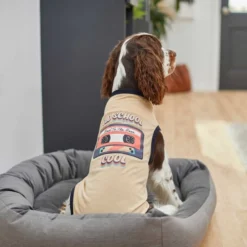 Frisco Old School Cool Dog & Cat T-Shirt -FRISCO Sales 248902 PT4. SY630 V1624603352