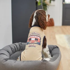 Frisco Old School Cool Dog & Cat T-Shirt -FRISCO Sales 248902 PT7. SY630 V1613750542