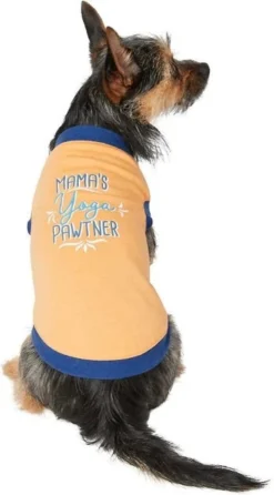 Frisco Mama's Yoga Pawtner Dog & Cat T-Shirt 10 Frisco Mama's Yoga Pawtner Dog & Cat T-Shirt -FRISCO Sales 248966 PT2. SY630 V1624599765