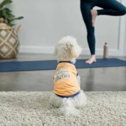 Frisco Mama's Yoga Pawtner Dog & Cat T-Shirt 12 Frisco Mama's Yoga Pawtner Dog & Cat T-Shirt -FRISCO Sales 248966 PT4. SY630 V1624592860