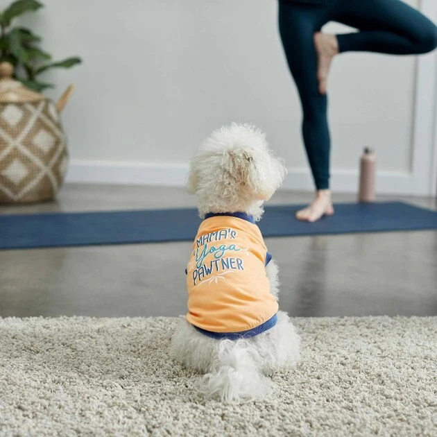 Frisco Mama's Yoga Pawtner Dog & Cat T-Shirt 7 Frisco Mama's Yoga Pawtner Dog & Cat T-Shirt - Image 5