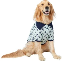Frisco Sea Turtles Dog & Cat Polo Shirt -FRISCO Sales 248984 PT2. SY630 V1624596163