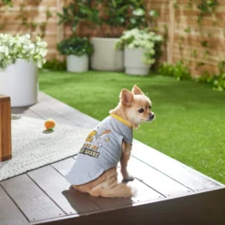 Frisco Give Me My Space Dog & Cat T-Shirt 13 Frisco Give Me My Space Dog & Cat T-Shirt -FRISCO Sales 249011 PT7. SY630 V1614111772