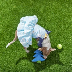 Frisco Blue Daisies Dog & Cat Dress -FRISCO Sales 249044 PT7. SY630 V1644464818