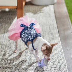 Frisco Leopard Print Dog & Cat Dress 13 Frisco Leopard Print Dog & Cat Dress -FRISCO Sales 249051 PT5. SY630 V1644960386
