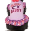 Frisco Cute & Sassy Dog & Cat Dress 1 Frisco Cute & Sassy Dog & Cat Dress -FRISCO Sales 249072 MAIN. SY630 V1644447754
