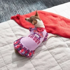 Frisco Cute & Sassy Dog & Cat Dress -FRISCO Sales 249072 PT5. SY630 V1644960401
