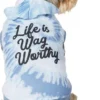 Frisco Life Is Wag Worthy Tiedye Print Dog & Cat Hoodie -FRISCO Sales 249093 MAIN. SY630 V1644453144