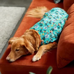 Frisco Jungle Paradise Dog & Cat Jersey PJs 13 Frisco Jungle Paradise Dog & Cat Jersey PJs -FRISCO Sales 249111 PT7. SY630 V1614361962