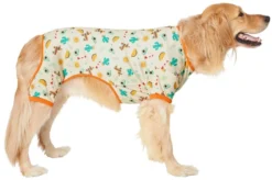 Frisco Fiesta Siesta Dog & Cat Jersey PJs -FRISCO Sales 249118 PT2. SY630 V1637654821