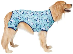 Frisco Happy Shark Dog & Cat Jersey PJs
